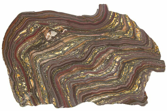 Polished Tiger Iron Stromatolite Slab - Billion Years #221832